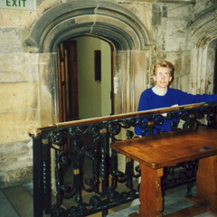 york53