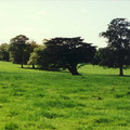york19