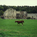 york22