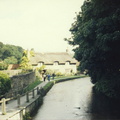 york51
