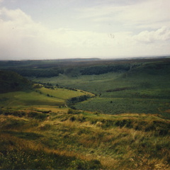york56