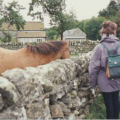york94