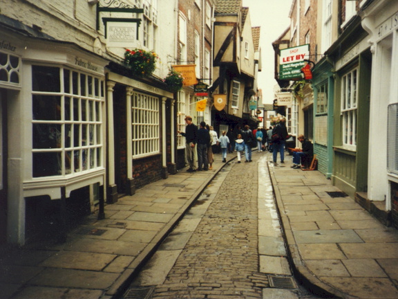 york61