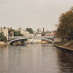 york99
