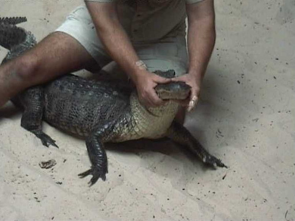 florida21