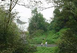 Anstey Cove