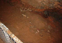Kents Cavern