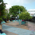 Dsc00319