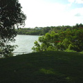 Dsc00322