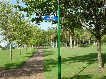 Dsc00323