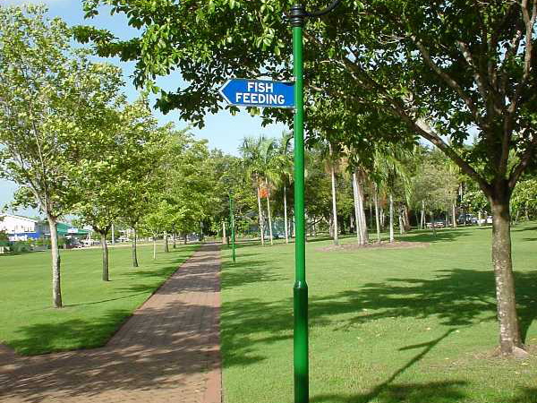 Dsc00323