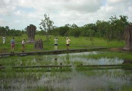 Darwin - Kakadu National Park
