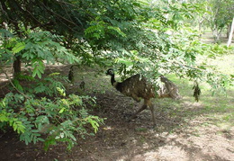 Dsc00336