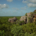 Dsc00381