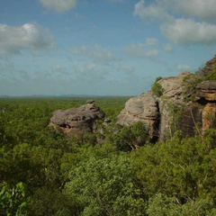 Dsc00381