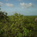 Dsc00382