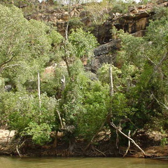 Dsc00388