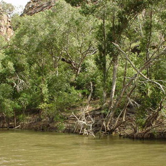 Dsc00390