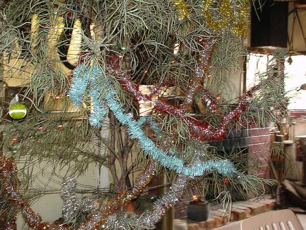 Dsc00402
