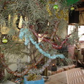 Dsc00402