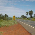 Dsc00429