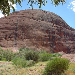 Dsc00436