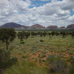 Dsc00441