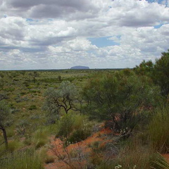 Dsc00444