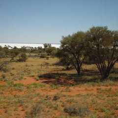 Dsc00460