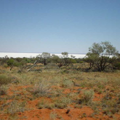 Dsc00461