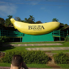 DSC00021