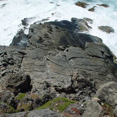 Dsc00492