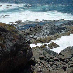 Dsc00493