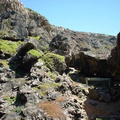 Dsc00495