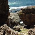Dsc00496