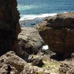 Dsc00496