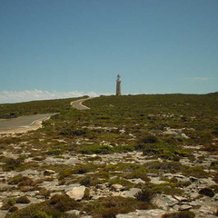 Dsc00501