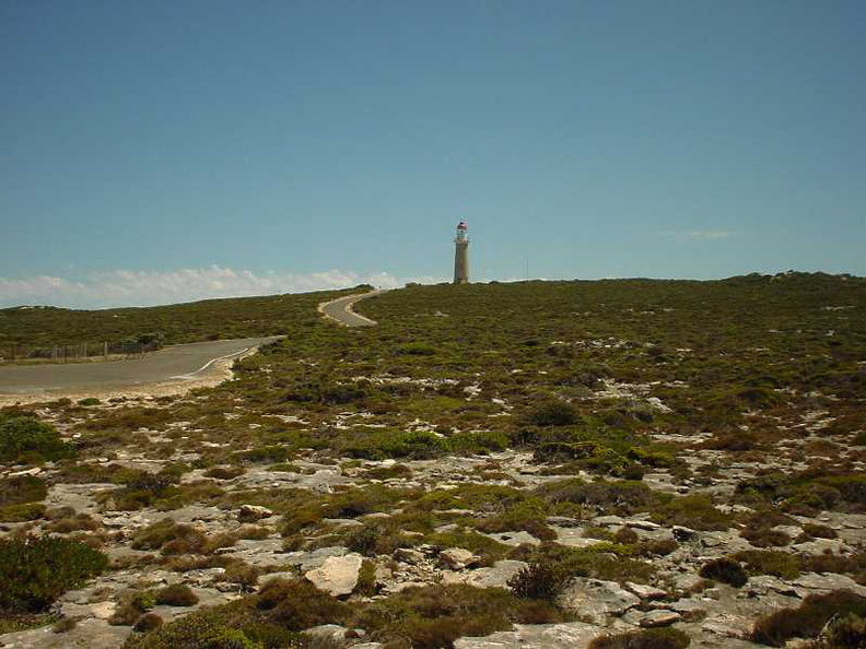 Dsc00501