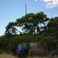 Dsc00502