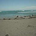 Dsc00504