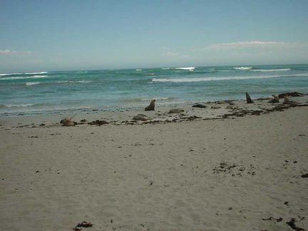 Dsc00504