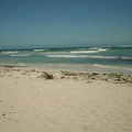 Dsc00506