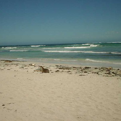 Dsc00506