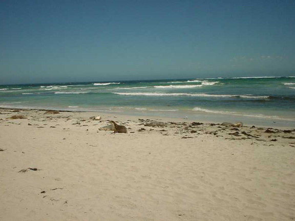 Dsc00506