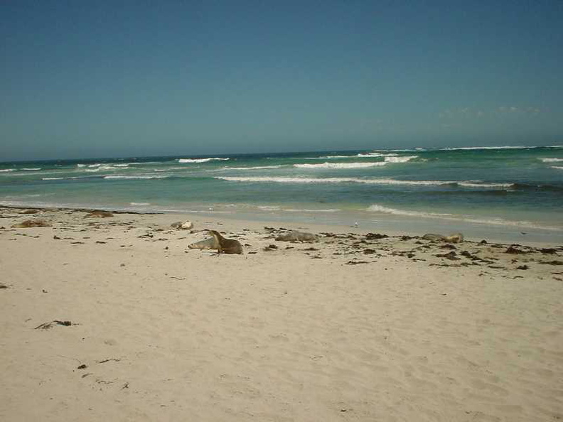 Dsc00506
