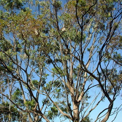 Dsc00522