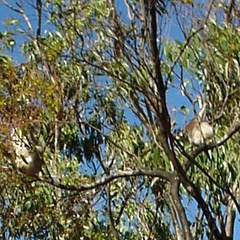 Dsc00522a