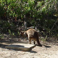 Dsc00526