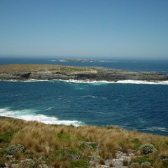 Dsc00528