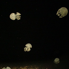 DSC00050